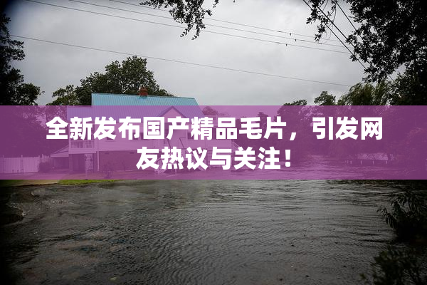 全新发布国产精品毛片，引发网友热议与关注！