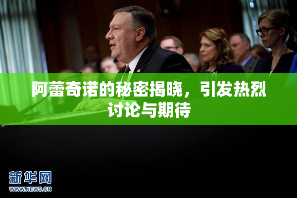 阿蕾奇诺的秘密揭晓，引发热烈讨论与期待