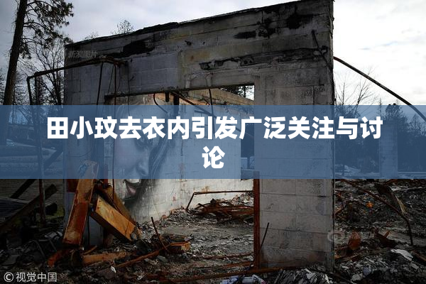 田小玟去衣内引发广泛关注与讨论