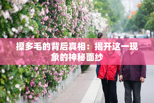 搡多毛的背后真相：揭开这一现象的神秘面纱