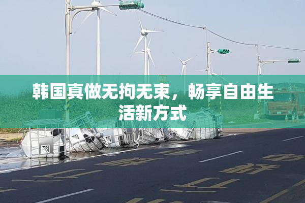 韩国真做无拘无束，畅享自由生活新方式