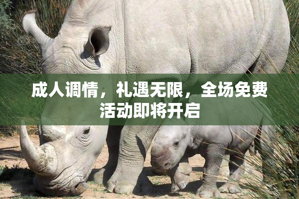 成人调情，礼遇无限，全场免费活动即将开启