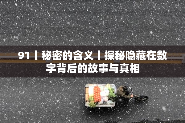 91丨秘密的含义丨探秘隐藏在数字背后的故事与真相