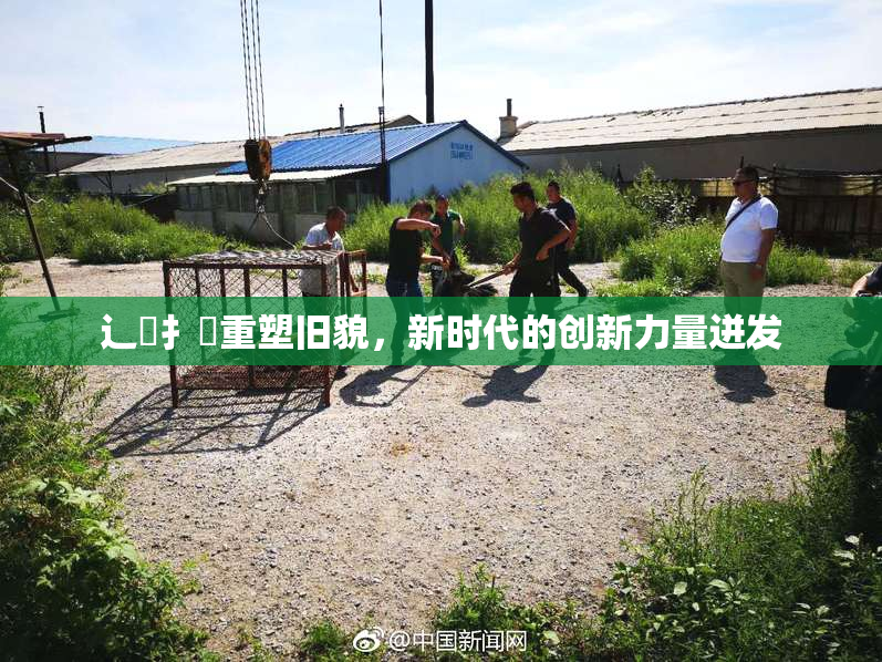 辶喿扌畐重塑旧貌，新时代的创新力量迸发