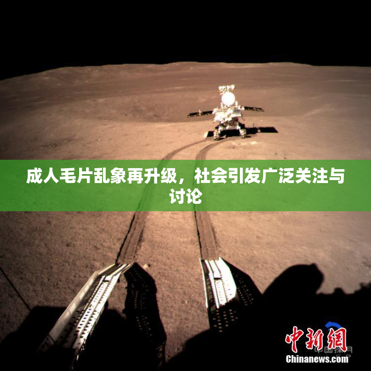 成人毛片乱象再升级，社会引发广泛关注与讨论