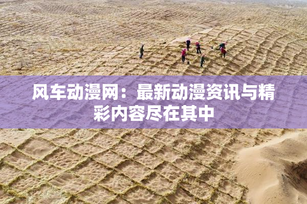 风车动漫网：最新动漫资讯与精彩内容尽在其中