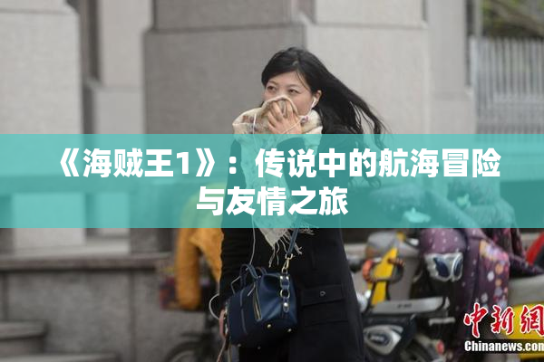 《海贼王1》：传说中的航海冒险与友情之旅