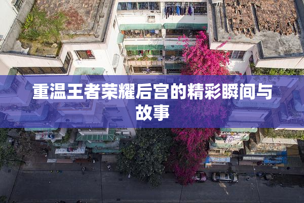 重温王者荣耀后宫的精彩瞬间与故事