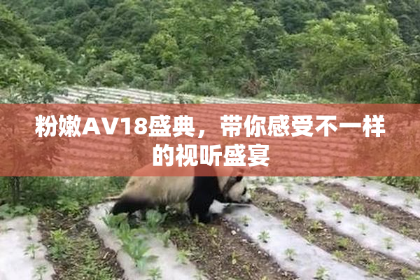 粉嫩AV18盛典，带你感受不一样的视听盛宴
