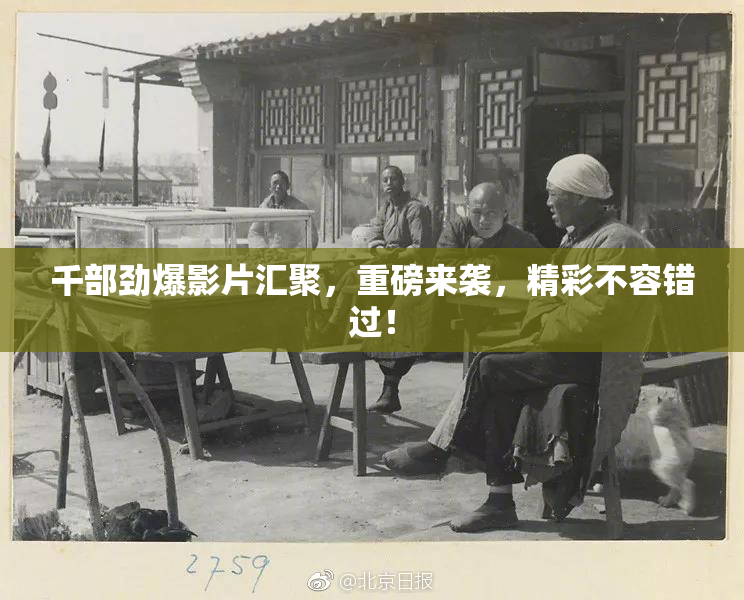 千部劲爆影片汇聚，重磅来袭，精彩不容错过！