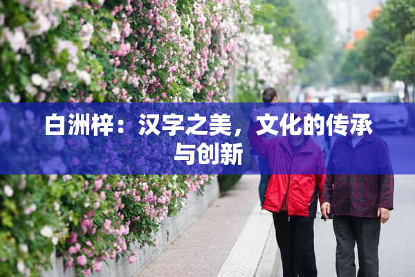 白洲梓：汉字之美，文化的传承与创新