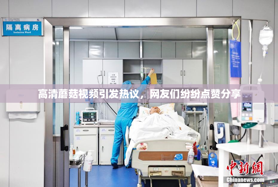 高清蘑菇视频引发热议，网友们纷纷点赞分享