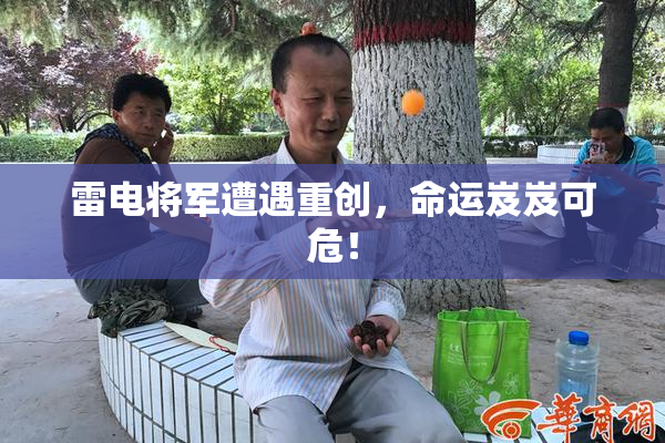 雷电将军遭遇重创，命运岌岌可危！
