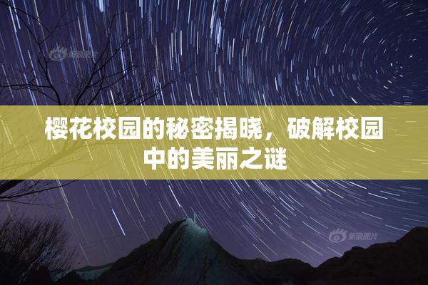 樱花校园的秘密揭晓，破解校园中的美丽之谜