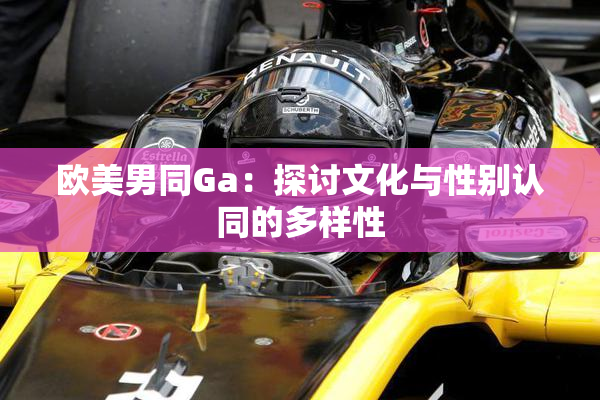 欧美男同Ga：探讨文化与性别认同的多样性