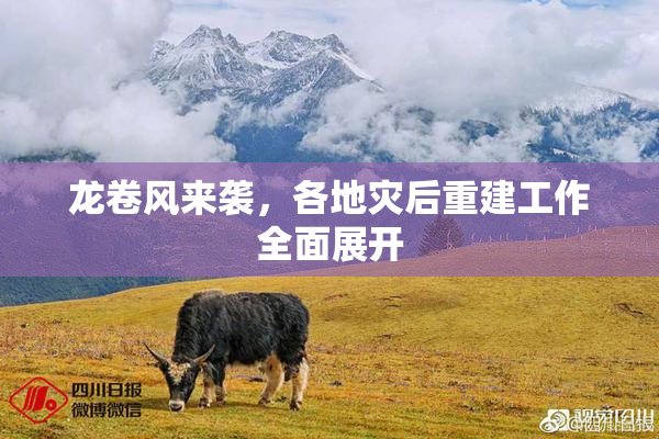 龙卷风来袭，各地灾后重建工作全面展开