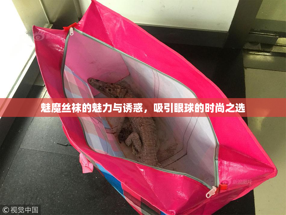 魅魔丝袜的魅力与诱惑，吸引眼球的时尚之选
