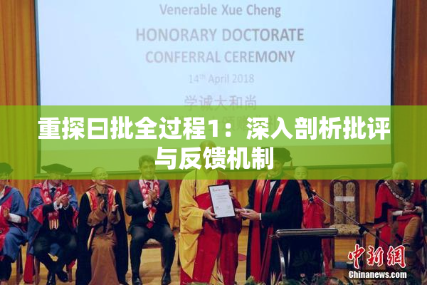 重探曰批全过程1：深入剖析批评与反馈机制