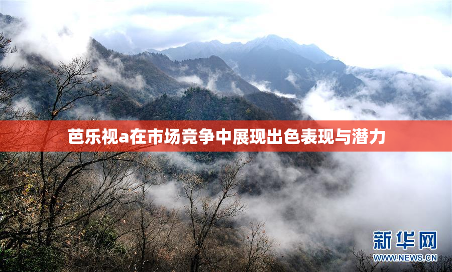 芭乐视a在市场竞争中展现出色表现与潜力
