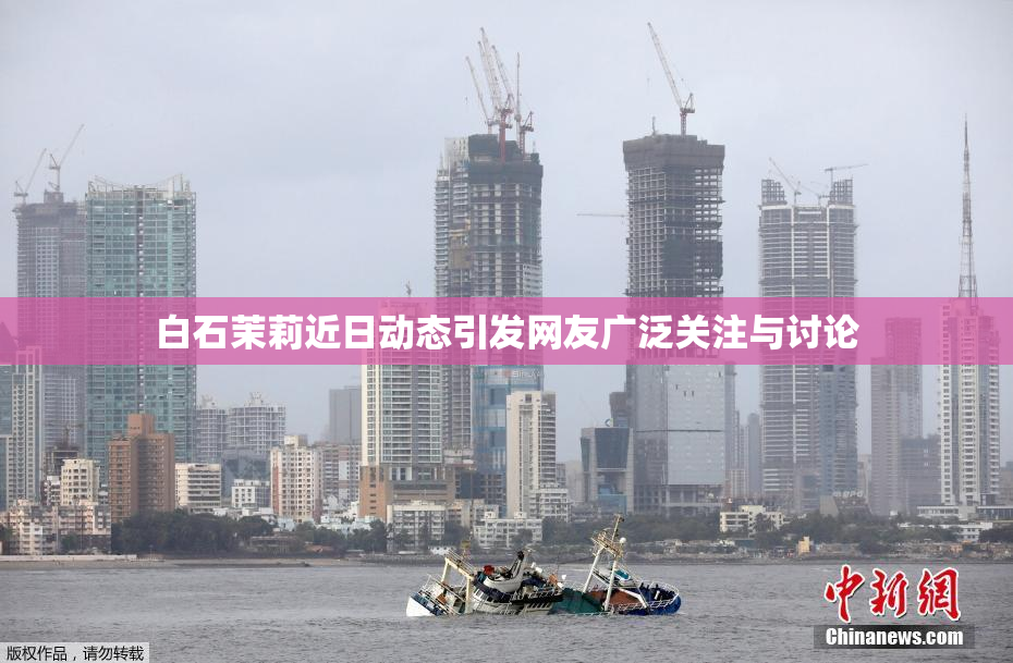 白石茉莉近日动态引发网友广泛关注与讨论