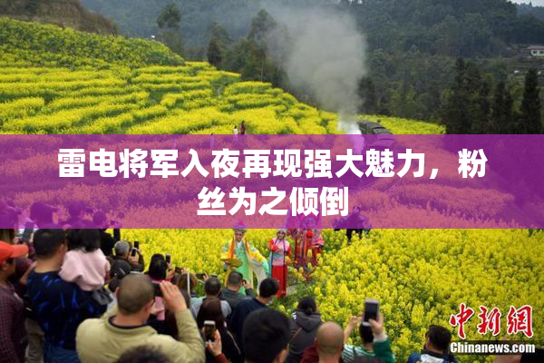 雷电将军入夜再现强大魅力，粉丝为之倾倒