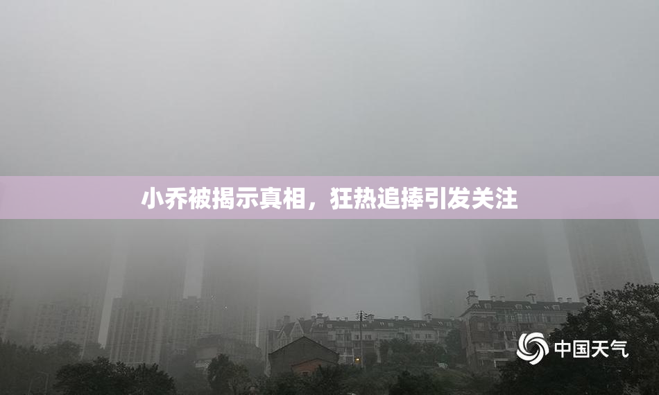 小乔被揭示真相，狂热追捧引发关注