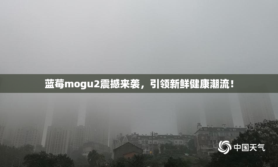 蓝莓mogu2震撼来袭，引领新鲜健康潮流！
