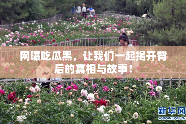网曝吃瓜黑，让我们一起揭开背后的真相与故事！