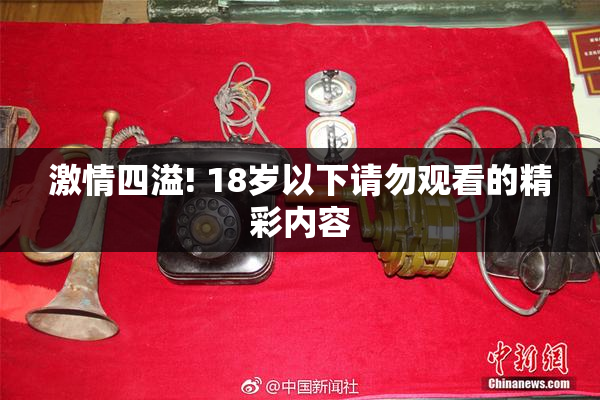 激情四溢! 18岁以下请勿观看的精彩内容