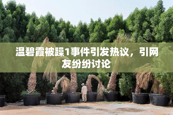温碧霞被躁1事件引发热议，引网友纷纷讨论