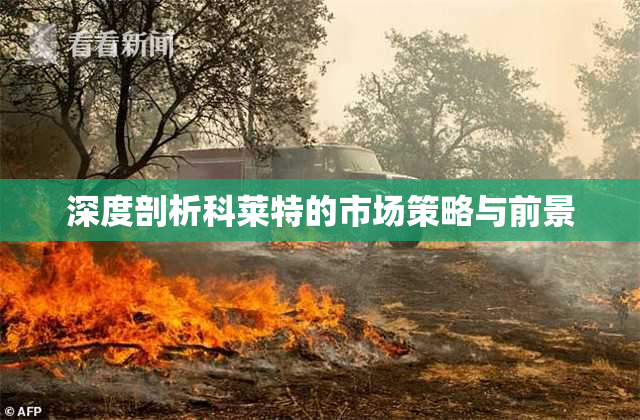 深度剖析科莱特的市场策略与前景