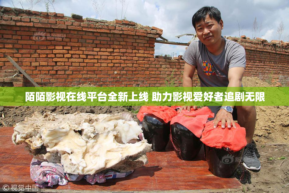 陌陌影视在线平台全新上线 助力影视爱好者追剧无限