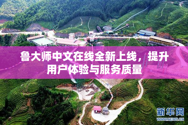 鲁大师中文在线全新上线，提升用户体验与服务质量