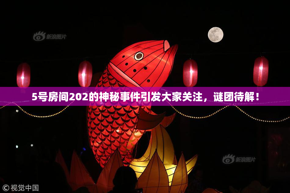 5号房间202的神秘事件引发大家关注，谜团待解！