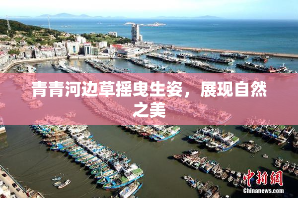 青青河边草摇曳生姿，展现自然之美