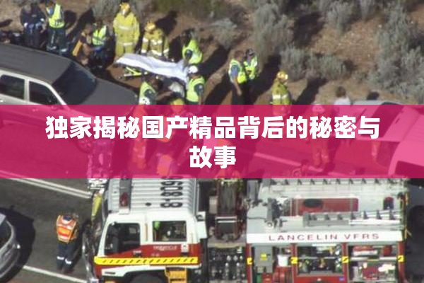 独家揭秘国产精品背后的秘密与故事