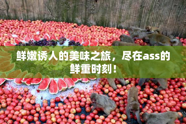 鲜嫩诱人的美味之旅，尽在ass的鲜重时刻！