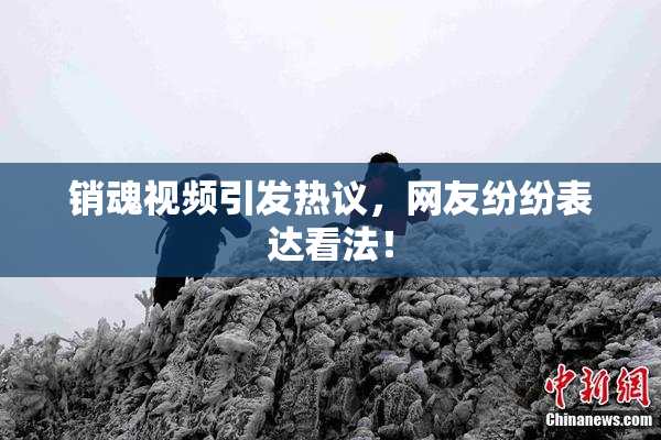 销魂视频引发热议，网友纷纷表达看法！
