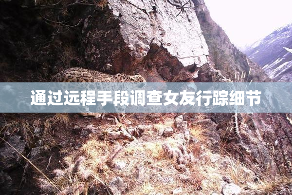 通过远程手段调查女友行踪细节