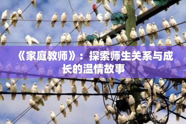 《家庭教师》：探索师生关系与成长的温情故事