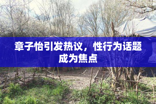 章子怡引发热议，性行为话题成为焦点