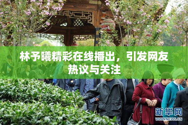 林予曦精彩在线播出，引发网友热议与关注