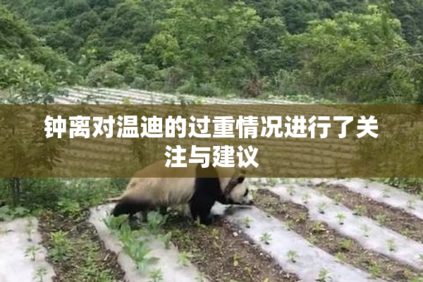 钟离对温迪的过重情况进行了关注与建议