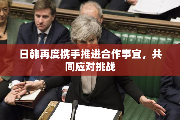 日韩再度携手推进合作事宜，共同应对挑战
