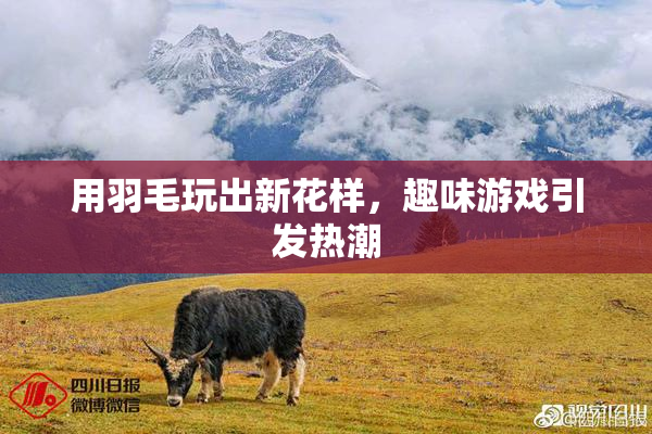 用羽毛玩出新花样，趣味游戏引发热潮