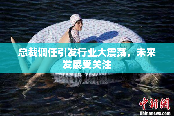 总裁调任引发行业大震荡，未来发展受关注