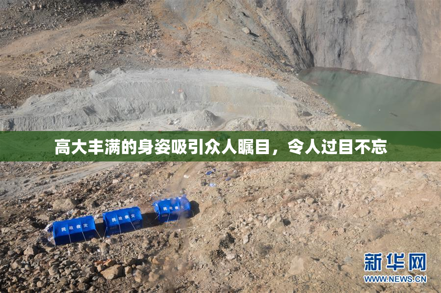 高大丰满的身姿吸引众人瞩目，令人过目不忘