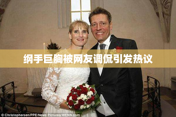 纲手巨胸被网友调侃引发热议