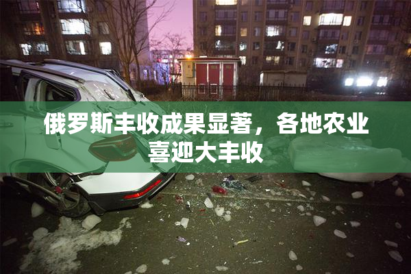 俄罗斯丰收成果显著，各地农业喜迎大丰收