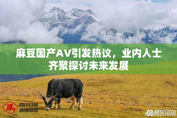 麻豆国产AV引发热议，业内人士齐聚探讨未来发展